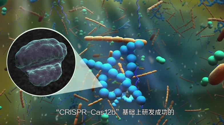 【曬曬咱的國之重器10】短視頻丨基因編輯的精準“剪刀”