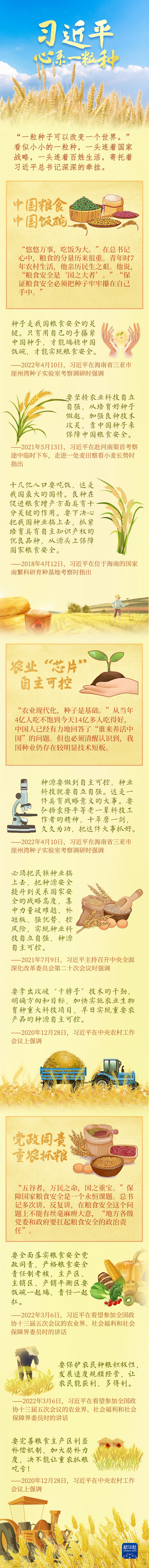 習近平關切事丨手繪長卷：習近平心系一粒種