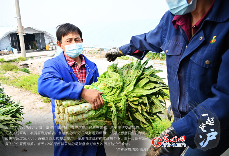 一起守“滬”|上海：企業(yè)復(fù)工復(fù)產(chǎn) 滯銷蔬菜直接進(jìn)食堂