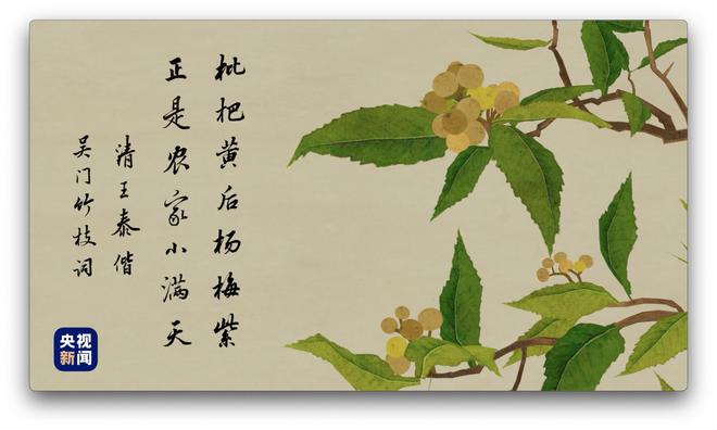 人間好時(shí)節(jié)丨小滿(mǎn)