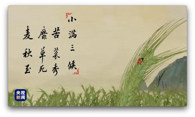 人間好時(shí)節(jié)丨小滿(mǎn)