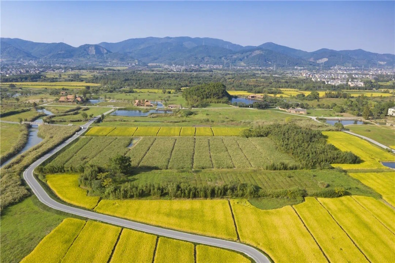 良渚古城遺址公園