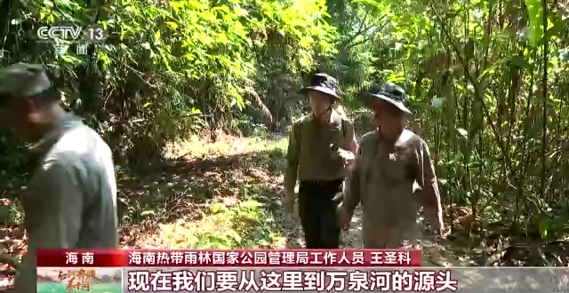 江河奔騰看中國丨穿行熱帶雨林 探訪萬泉河之源