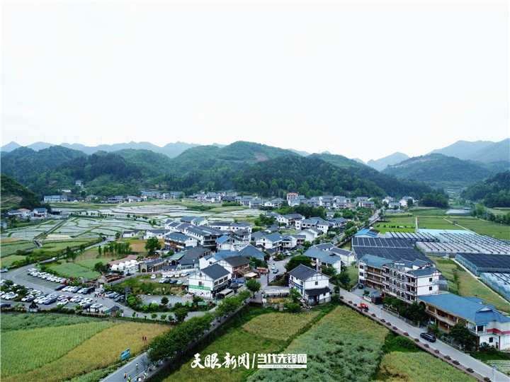 DJI_0017_副本_副本.jpg