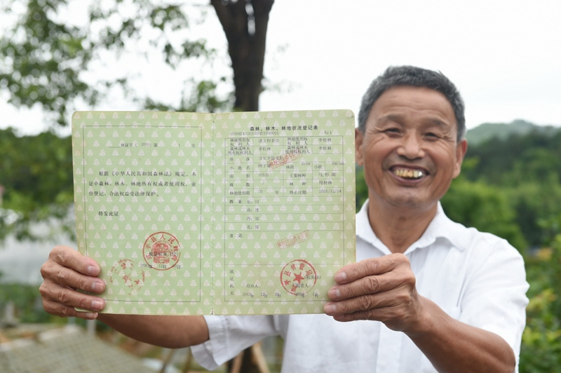 2017年6月13日，福建武平縣萬安鎮(zhèn)捷文村村民李桂林展示林權改革后領到的全國第一本新式林權證。